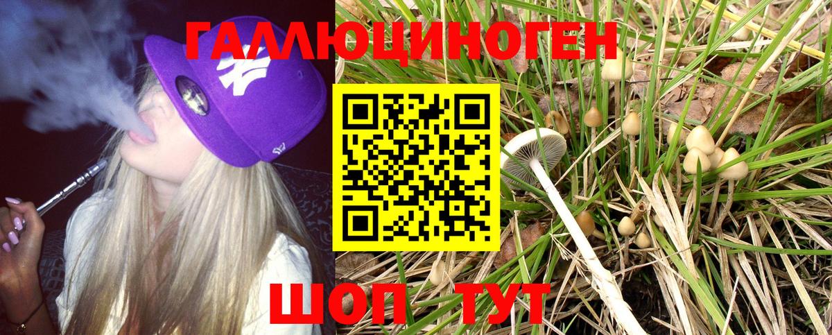 Ишимбай  Галлюциногенные грибы MAGIC MUSHROOMS  Вход с VPN 