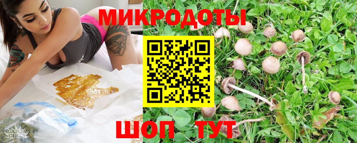 Галлюциногенные грибы Psilocybine cubensis Ишимбай